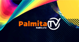 Logo Palmita Radio TV