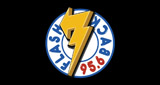 Logo Flashback 95.6