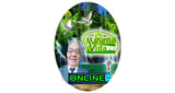 Logo Manantial de Vida Online