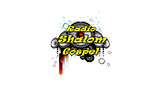 Logo Radio Shalom Gospel