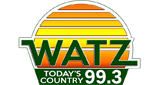 Logo 99.3 WATZ