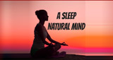 Logo A Sleep Natural Minds