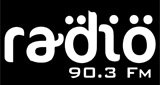 Logo Radio 90.3 FM