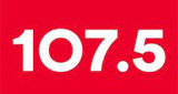 Logo Rádio pau-brasil FM