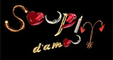 Logo Soupir d'amour station