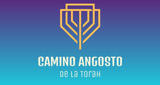 Logo Camino Angosto de la Torah