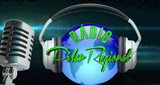 Logo Radio Pilar Regional