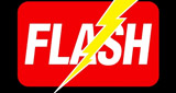 Logo Flash
