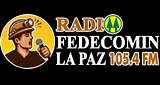 Logo Radio Fedecomin La Paz