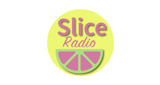 Logo Slice Radio