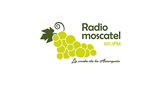 Logo Radio Moscatel 107.1 FM Axarquía - España