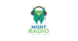 Logo Mont Radio (École Mont-Saint-Sacrement)