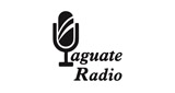 Logo Yaguate Radio TV Online