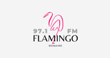 Logo Radio Flamingo 97.1Fm bonaire