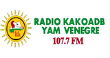 Logo RADIO VENEGRE