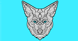 Logo Coyote New Country 103.3 HD2