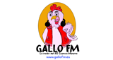 Logo Gallo FM