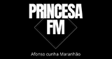 Logo Princesa fm