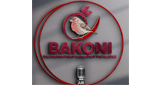 Logo Bakoni Fm