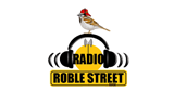 Logo Radio Roble Street