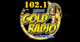 Logo GOLD RADIO BROADCASTING STATION