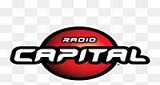 Logo Radio Capital FM 91.3