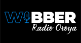 Logo WIBBER