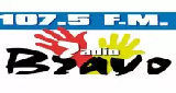 Logo Radio Bravo 107.5 FM