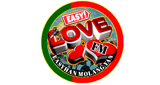 Logo 143.2 EASYLOVE FM