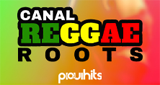 Logo Piauí Hits - Canal Reggae Roots