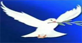 Logo Rádio Novo Paraíso FM