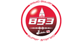 Logo Radio Biblian Stereo 89.3 Fm