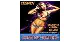 Logo Radio CE5NCV
