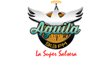 Logo Aguila 91.3 Fm