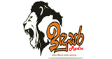 Logo Indusara Radio