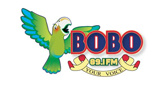 Logo Bobo 89.1 FM