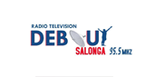 Logo RTDS