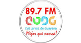 Logo La Voz de Guayana 89.7 FM
