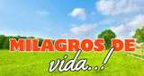 Logo Milagros de Vida