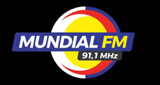 Logo Rádio Mundial 91.1 FM