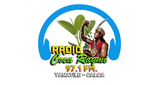 Logo Radio Cocaraymi