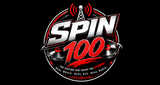 Logo Spin100
