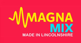 Logo Magna Mix