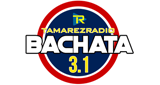 Logo Bachata 3.1