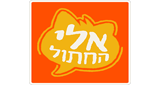 Logo 100FM Radius - Ad