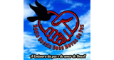 Logo Radio Suécia Boas Novas De Paz