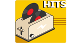 Logo 100FM Radius - Hits