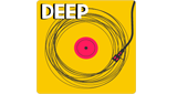 Logo 100FM Radius - Deep