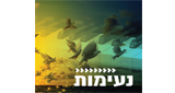 Logo Radio Kol-Chai Music - נעימות