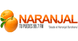 Logo Naranjal 99.7 FM